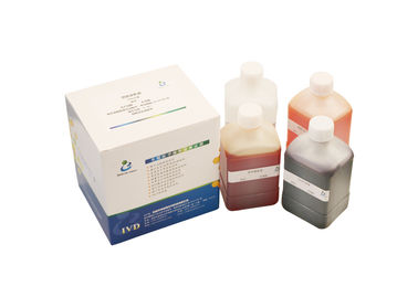 Kit de test d'infertilité masculine 500 ml/Kit Kit de coloration de Papanicolaou pour la morphologie du sperme