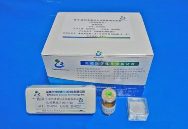 Kit de test de liaison de l'hyaluronane de sperme Outil de diagnostic Kit de test de fertilité masculine