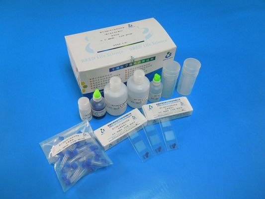 Kit de test de fragmentation de l'ADN du sperme à tache de Wright avec méthode SCD pour 40 tests / kit dans les laboratoires d'andrologie