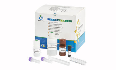 Kits de SpermFunc/méthode phase solide BAPNA pour l'essai quantitatif d'activité d'Acrosin de spermatozoïdes