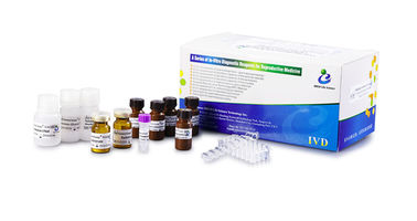 Kit de NAG de plasma séminal pour évaluer la fonction sécrétoire masculine d'épididyme
