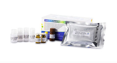 kit d'analyse de l'élastase 96T/Kit pour le diagnostic masculin de stérilité de détermination
