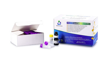 Kit de test de fertilité pour hommes à fonctionnement simple Kit de test de leucocytes de sperme Coloration à la peroxydase