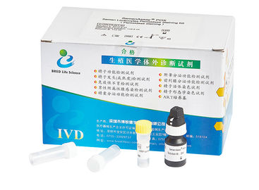 Kit 40T/Kit d'essai de leucocytes d'échantillon de sperme pour le criblage masculin d'infection d'appareil reproducteur