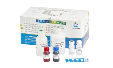 Kit de test d'infertilité masculine 40T/Kit pour la détection de la maturité de la nucléoprotéine des spermatozoïdes humains