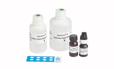 Kit d'essai de fonction de sperme de 40T/Kit pour la phosphorylation déterminée de tyrosine de protéine